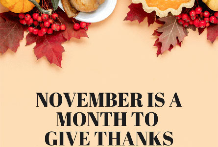 Charles Collectibles and Books November Newsletter Cover Image